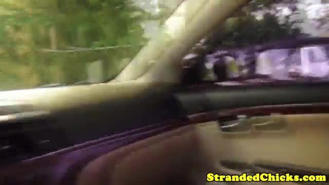 Cute teenage hitchhiker fucked by the car