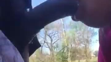 Wild babes in crazy outdoor action