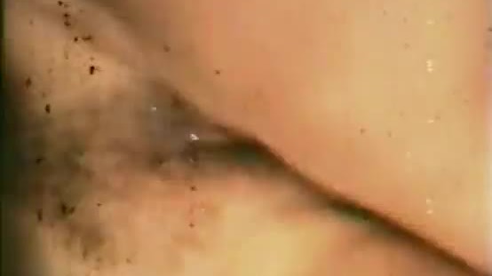 Brunett love licking pussy and fucking